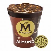 Magnum Almond - PINT